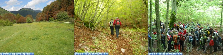 La Foresta Vetusta della Val Cervara