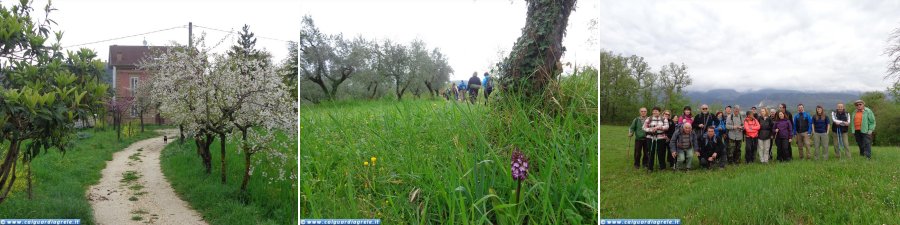 Le campagne di Guardiagrele: Comino al Pedicone(ph: Sergio Millemaci)