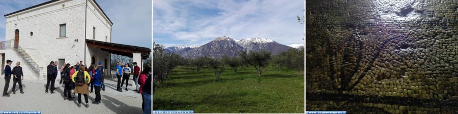 Piano Laroma: Passeggiando tra gli ulivi, con Tommaso Masciantonio(ph: Sergio Millemaci)