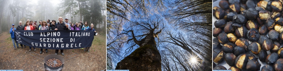 La Castagnata a Piana delle Mele