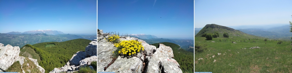 Interregionale Tutela Ambiente Montano