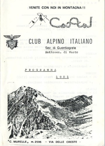 Link al Programma 1981