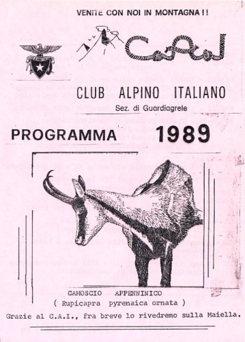 Link al Programma 1989