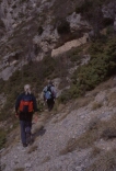Clicca per ingrandire