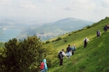 Clicca per ingrandire