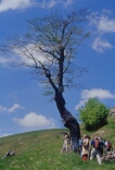 Clicca per ingrandire