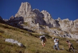 Clicca per ingrandire