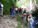 Clicca per ingrandire