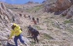 Clicca per ingrandire