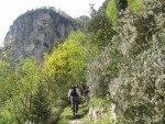 Clicca per ingrandire