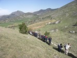 Clicca per ingrandire