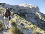 Clicca per ingrandire
