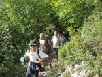 Clicca per ingrandire