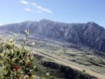 Clicca per ingrandire