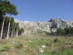 Clicca per ingrandire