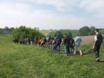 Clicca per ingrandire