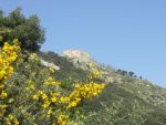 Clicca per ingrandire