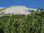 Clicca per ingrandire