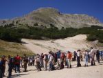 Clicca per ingrandire