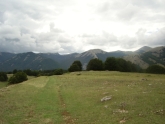 Clicca per ingrandire