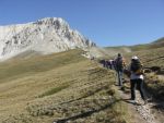 Clicca per ingrandire