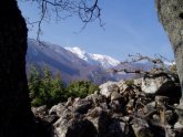 Clicca per ingrandire