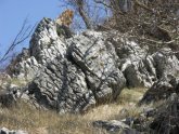Clicca per ingrandire