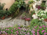 Clicca per ingrandire