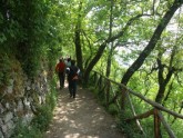 Clicca per ingrandire