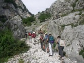 Clicca per ingrandire
