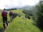 Clicca per ingrandire
