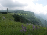 Clicca per ingrandire