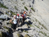 Clicca per ingrandire