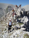 Clicca per ingrandire