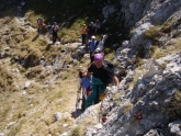Clicca per ingrandire
