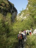 Clicca per ingrandire