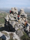 Clicca per ingrandire