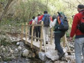Clicca per ingrandire
