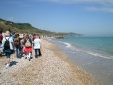Clicca per ingrandire