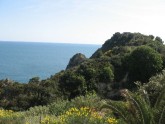 Clicca per ingrandire