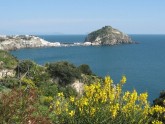 Clicca per ingrandire