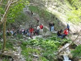 Clicca per ingrandire