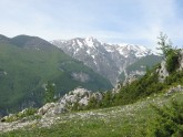 Clicca per ingrandire