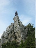 Clicca per ingrandire
