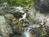 Clicca per ingrandire