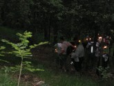 Clicca per ingrandire