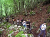 Clicca per ingrandire