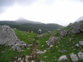 Clicca per ingrandire