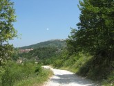 Clicca per ingrandire