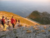 Clicca per ingrandire